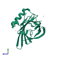 Major urinary protein 6 in PDB entry 1i06, assembly 1, side view.