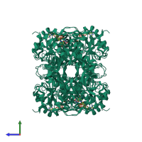 Homo tetrameric assembly 1 of PDB entry 1i0z coloured by chemically distinct molecules, side view.