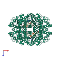 Homo tetrameric assembly 1 of PDB entry 1i0z coloured by chemically distinct molecules, top view.