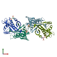 PDB entry 1i12 coloured by chain, front view.
