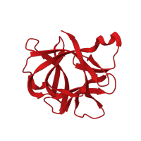 The deposited structure of PDB entry 1i1b contains 1 copy of CATH domain 2.80.10.50 (Trefoil (Acidic Fibroblast Growth Factor, subunit A)) in Interleukin-1 beta. Showing 1 copy in chain A.