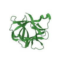 The deposited structure of PDB entry 1i1b contains 1 copy of SCOP domain 50362 (Interleukin-1 (IL-1)) in Interleukin-1 beta. Showing 1 copy in chain A.