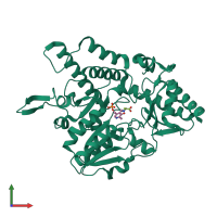 PDB entry 1i29 coloured by chain, front view.