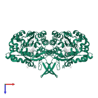 UDP-sulfoquinovose synthase, chloroplastic in PDB entry 1i2b, assembly 1, top view.