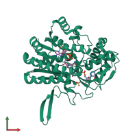 PDB entry 1i2c coloured by chain, front view.