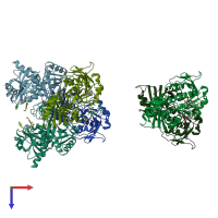 PDB entry 1i32 coloured by chain, top view.