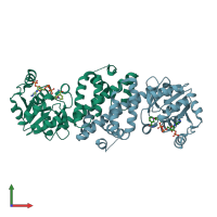 PDB entry 1i36 coloured by chain, front view.