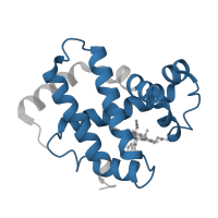 The deposited structure of PDB entry 1i3e contains 2 copies of Pfam domain PF00042 (Globin) in Hemoglobin subunit gamma-1. Showing 1 copy in chain A.