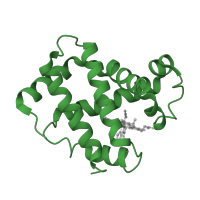The deposited structure of PDB entry 1i3e contains 2 copies of SCOP domain 46463 (Globins) in Hemoglobin subunit gamma-1. Showing 1 copy in chain A.