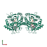 Homo dimeric assembly 1 of PDB entry 1i3n coloured by chemically distinct molecules, front view.
