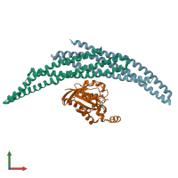 PDB entry 1i4d coloured by chain, front view.