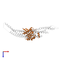 Ras-related C3 botulinum toxin substrate 1 in PDB entry 1i4l, assembly 1, top view.
