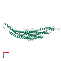 Arfaptin-2 in PDB entry 1i4t, assembly 1, top view.