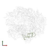 DNA-directed RNA polymerases I, II, and III subunit RPABC2 in PDB entry 1i50, assembly 1, front view.