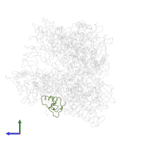 DNA-directed RNA polymerases I, II, and III subunit RPABC2 in PDB entry 1i50, assembly 1, side view.