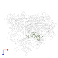 DNA-directed RNA polymerases I, II, and III subunit RPABC2 in PDB entry 1i50, assembly 1, top view.