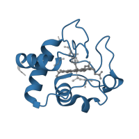 The deposited structure of PDB entry 1i54 contains 2 copies of Pfam domain PF00034 (Cytochrome c) in Cytochrome c. Showing 1 copy in chain A.