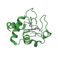 The deposited structure of PDB entry 1i54 contains 2 copies of SCOP domain 46627 (monodomain cytochrome c) in Cytochrome c. Showing 1 copy in chain A.