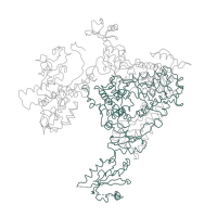 The deposited structure of PDB entry 1i6h contains 1 copy of Pfam domain PF04998 (RNA polymerase Rpb1, domain 5) in DNA-directed RNA polymerase II subunit RPB1. Showing 1 copy in chain C [auth A].