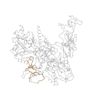 The deposited structure of PDB entry 1i6h contains 1 copy of Pfam domain PF04567 (RNA polymerase Rpb2, domain 5) in DNA-directed RNA polymerase II subunit RPB2. Showing 1 copy in chain D [auth B].