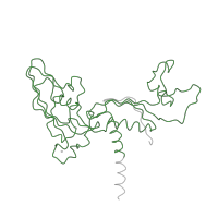 The deposited structure of PDB entry 1i6h contains 1 copy of Pfam domain PF01193 (RNA polymerase Rpb3/Rpb11 dimerisation domain) in DNA-directed RNA polymerase II subunit RPB3. Showing 1 copy in chain E [auth C].