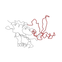 The deposited structure of PDB entry 1i6h contains 1 copy of CATH domain 3.90.940.20 (Eukaryotic RPB6 RNA polymerase subunit) in DNA-directed RNA polymerases I, II, and III subunit RPABC1. Showing 1 copy in chain F [auth E].