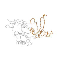The deposited structure of PDB entry 1i6h contains 1 copy of SCOP domain 55288 (RPB5) in DNA-directed RNA polymerases I, II, and III subunit RPABC1. Showing 1 copy in chain F [auth E].