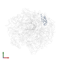 DNA-directed RNA polymerases I, II, and III subunit RPABC5 in PDB entry 1i6h, assembly 1, front view.