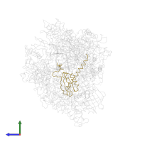 DNA-directed RNA polymerase II subunit RPB11 in PDB entry 1i6h, assembly 1, side view.