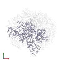 DNA-directed RNA polymerase II subunit RPB1 in PDB entry 1i6h, assembly 1, front view.