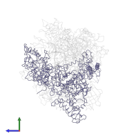 DNA-directed RNA polymerase II subunit RPB1 in PDB entry 1i6h, assembly 1, side view.