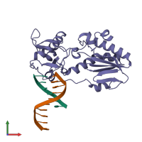 PDB entry 1i6j coloured by chain, front view.