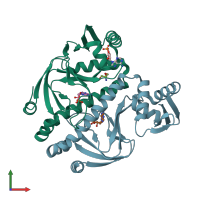 PDB entry 1i6x coloured by chain, front view.