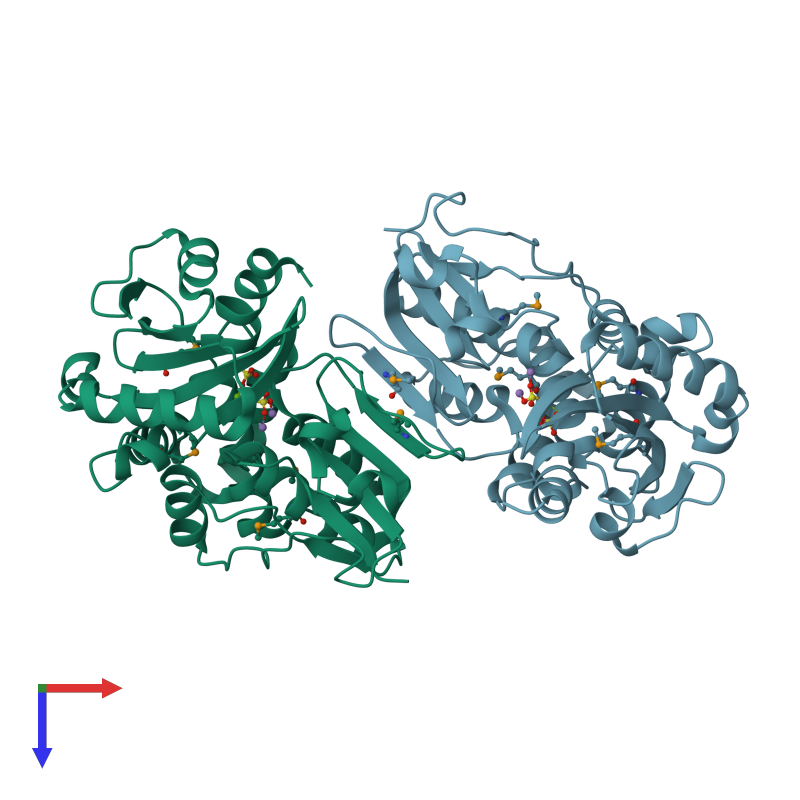 <div class='caption-body'><ul class ='image_legend_ul'>The deposited structure of PDB entry 1i74 coloured by chain and viewed from the top. The entry contains: <li class ='image_legend_li'>2 copies of PROBABLE MANGANESE-DEPENDENT INORGANIC PYROPHOSPHATASE</li><li class ='image_legend_li'>[]<ul class ='image_legend_ul'><li class ='image_legend_li'>4 copies of MANGANESE (II) ION</li> <li class ='image_legend_li'>2 copies of MAGNESIUM ION</li> <li class ='image_legend_li'>4 copies of SULFATE ION</li></ul></li></div>