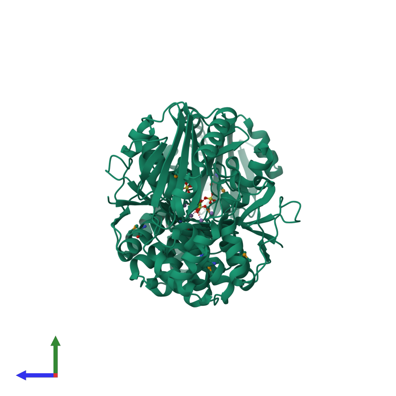 <div class='caption-body'><ul class ='image_legend_ul'>The deposited structure of PDB entry 1i74 coloured by chemically distinct molecules and viewed from the side. The entry contains: <li class ='image_legend_li'>2 copies of PROBABLE MANGANESE-DEPENDENT INORGANIC PYROPHOSPHATASE</li><li class ='image_legend_li'>[]<ul class ='image_legend_ul'><li class ='image_legend_li'>4 copies of MANGANESE (II) ION</li> <li class ='image_legend_li'>2 copies of MAGNESIUM ION</li> <li class ='image_legend_li'>4 copies of SULFATE ION</li></ul></li></div>