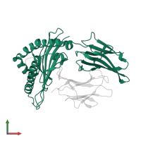 HLA class I histocompatibility antigen, A alpha chain in PDB entry 1i7t, assembly 1, front view.