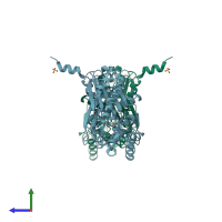 PDB entry 1i88 coloured by chain, side view.