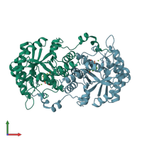 PDB entry 1i8j coloured by chain, front view.