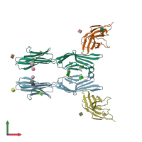 PDB entry 1i8l coloured by chain, front view.