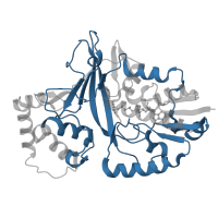 The deposited structure of PDB entry 1i8t contains 2 copies of Pfam domain PF03275 (UDP-galactopyranose mutase) in UDP-galactopyranose mutase. Showing 1 copy in chain A.
