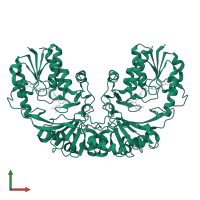 UDP-galactopyranose mutase in PDB entry 1i8t, assembly 1, front view.