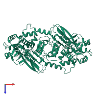 UDP-galactopyranose mutase in PDB entry 1i8t, assembly 1, top view.