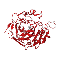 The deposited structure of PDB entry 1i90 contains 1 copy of CATH domain 3.10.200.10 (Carbonic Anhydrase II) in Carbonic anhydrase 2. Showing 1 copy in chain A.