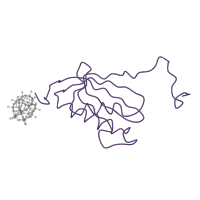 The deposited structure of PDB entry 1i96 contains 1 copy of SCOP domain 53138 (Ribosomal protein L18 and S11) in Small ribosomal subunit protein uS11. Showing 1 copy in chain K.