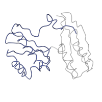 The deposited structure of PDB entry 1i96 contains 1 copy of SCOP domain 54815 (Prokaryotic type KH domain (KH-domain type II)) in Small ribosomal subunit protein uS3. Showing 1 copy in chain C.