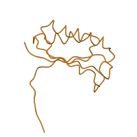 The deposited structure of PDB entry 1i96 contains 1 copy of SCOP domain 54996 (Ribosomal protein S6) in Small ribosomal subunit protein bS6. Showing 1 copy in chain F.