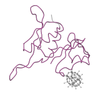 The deposited structure of PDB entry 1i96 contains 1 copy of Pfam domain PF00410 (Ribosomal protein S8) in Small ribosomal subunit protein uS8. Showing 1 copy in chain H.