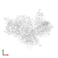 Small ribosomal subunit protein uS10 in PDB entry 1i96, assembly 1, front view.