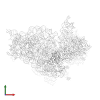 Small ribosomal subunit protein uS2 in PDB entry 1i97, assembly 1, front view.