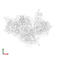 Small ribosomal subunit protein uS4 in PDB entry 1i97, assembly 1, front view.